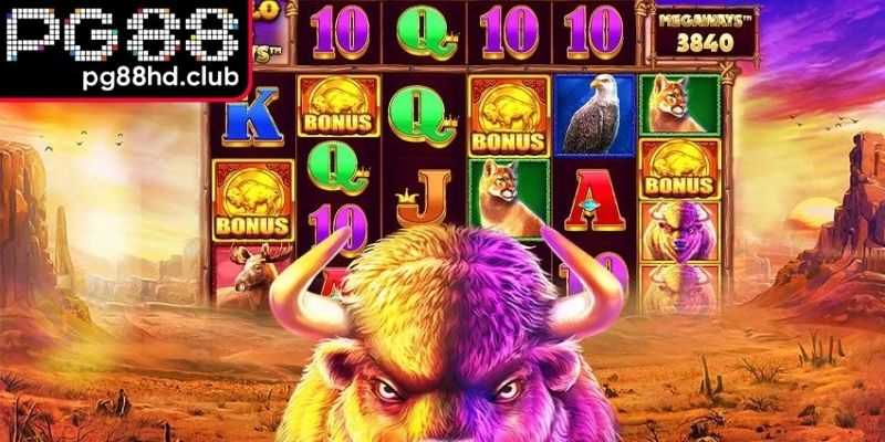 Tỷ lệ thưởng cạnh tranh